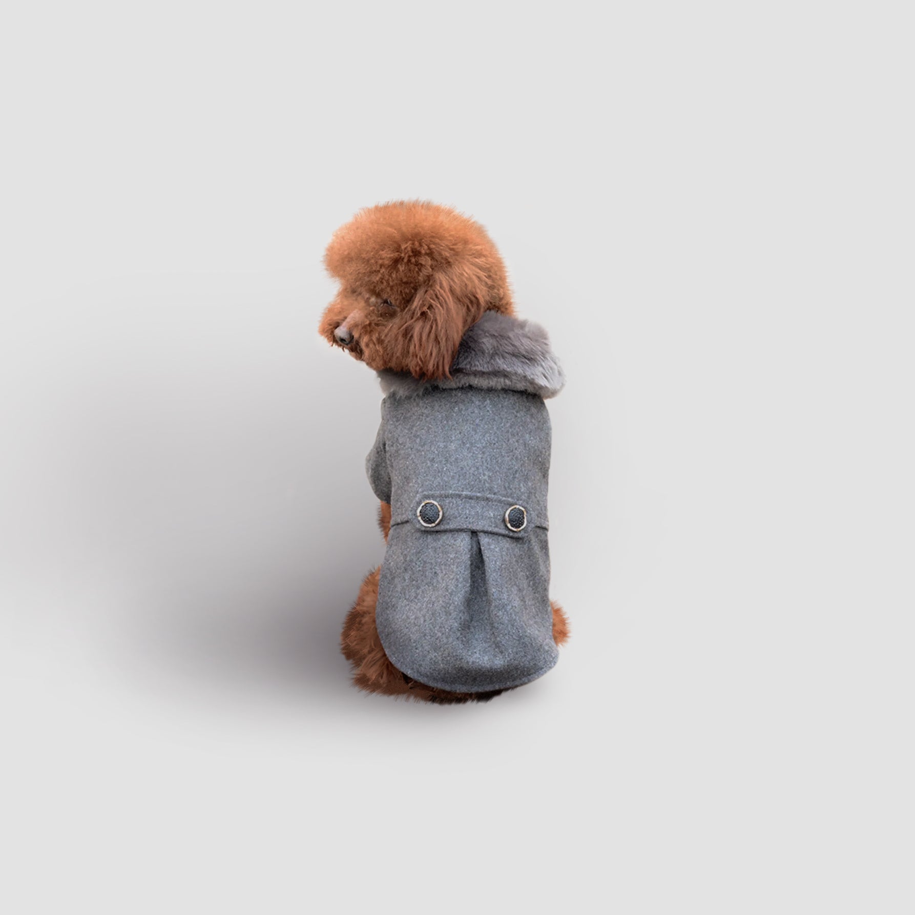 QueenB Faux Fur Coat | Gray – Snoots Pooch Boutique