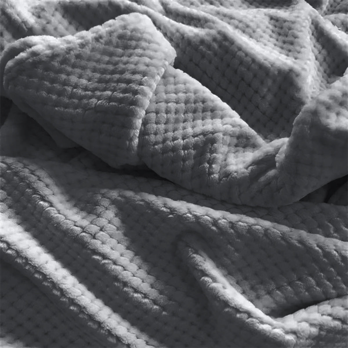 Snooch &amp; Snuggle Blanket