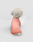 Romper Room Onesie | Peachy Pup