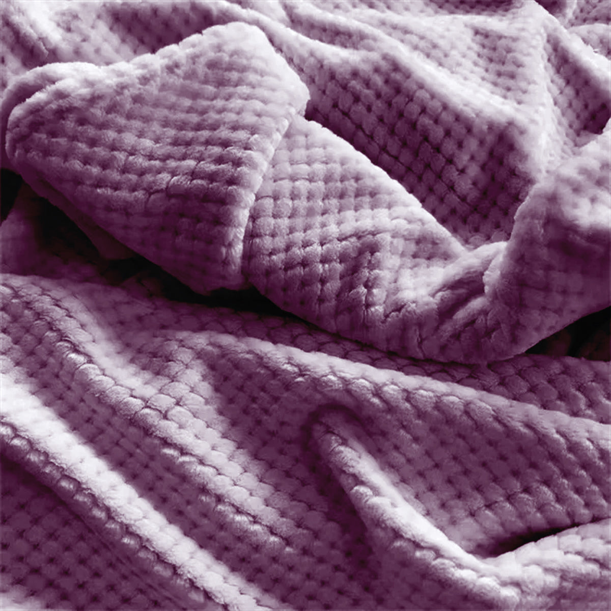 Snooch &amp; Snuggle Blanket